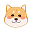 Longxiaodi的头像